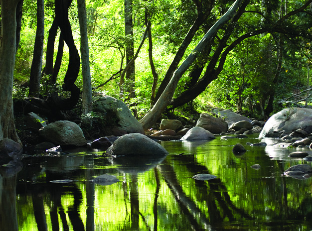 HAloindia Munnar Package