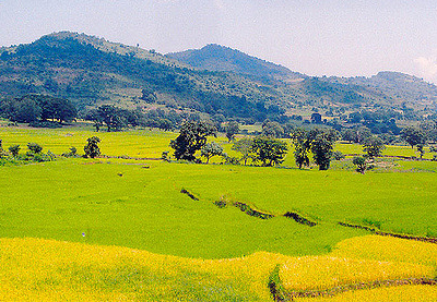 Andhrapradesh Package