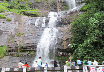 misty backwater Package