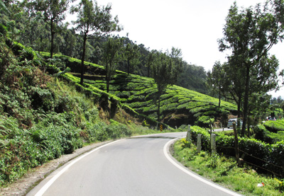 misty backwater Package