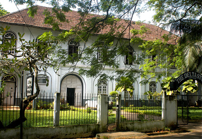 misty backwatwer Package