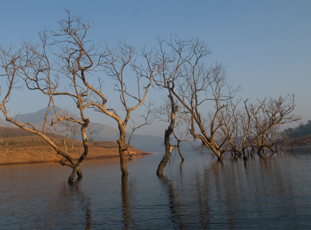 Romantic Kerala tour Package Wayanad