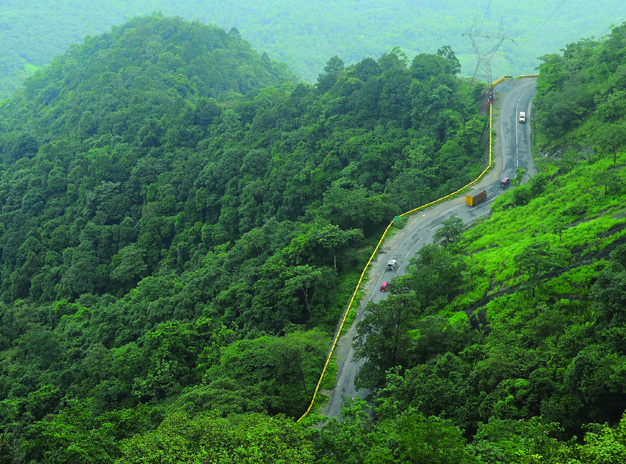 Romantic Kerala tour Package Wayanad