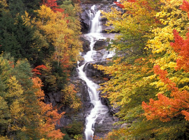 Southindian Holidays