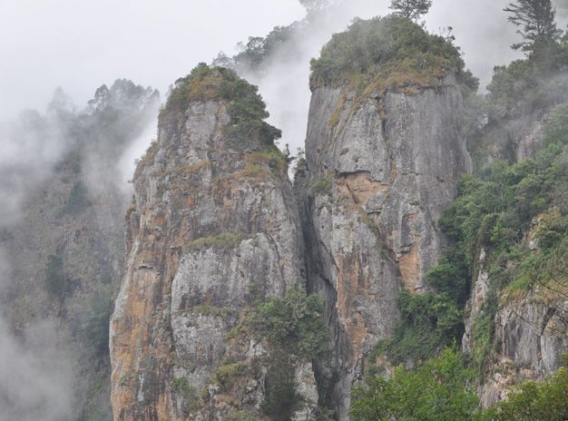 Southindian Holidays