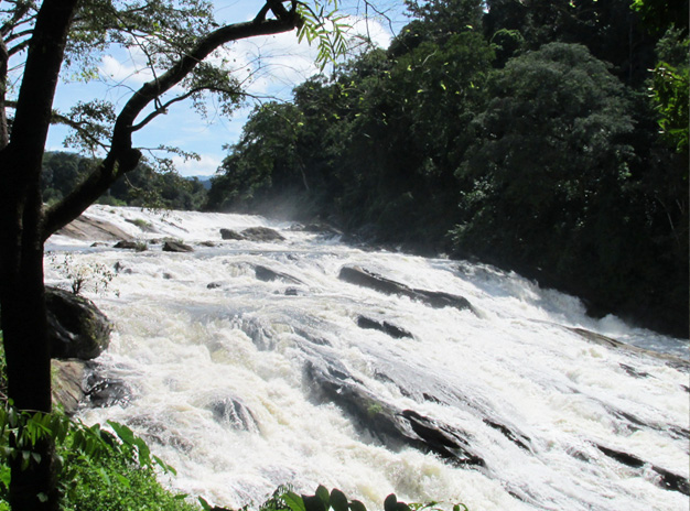 Southindian Holidays