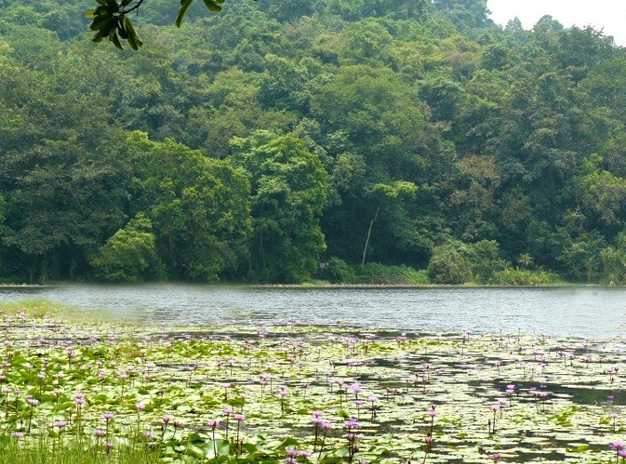 Spirit on South Indian Package