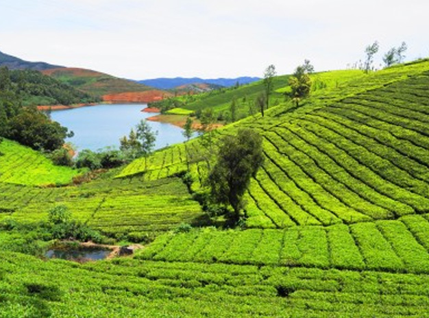 Magical South package