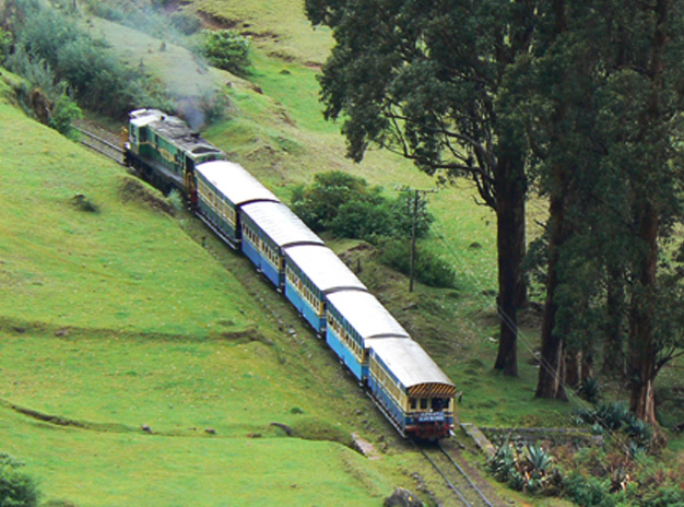 Magical South package