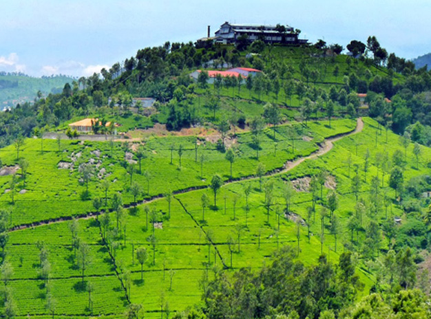 Magical South package