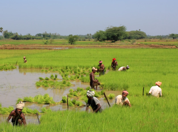 Spiritual tour package